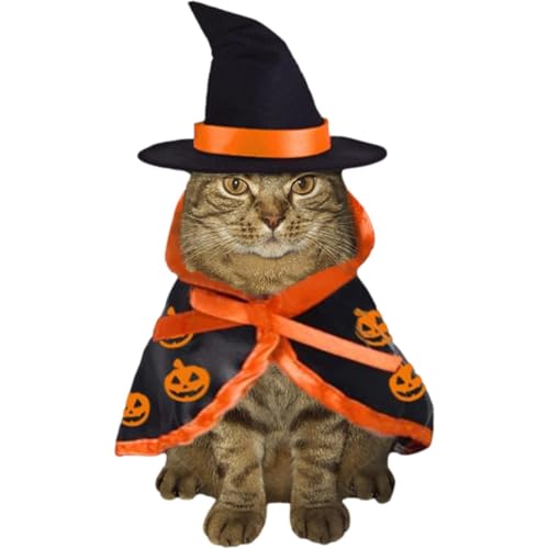 Halloween-Hundekleidung – Kätzchen-Cosplay-Kostüm | Hundekleidung, Umhang mit Fledermausmuster, für Halloween-Atmosphäre mit Kürbismuster für Kaninchen von Janurium