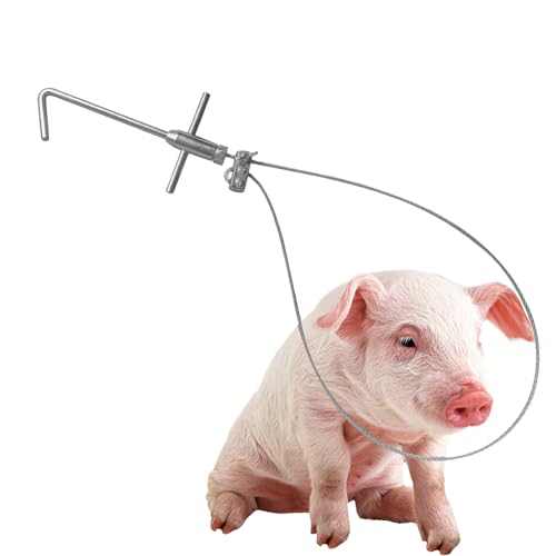 Janurium Edelstahl-Fänger, 80 cm, robuste Edelstahl-Tierkontrollstange, Nutztierfänger, Bauernhoftiere, Snare-Fangwerkzeug für Hunde, Schweine, Tiere, Nutztiere von Janurium