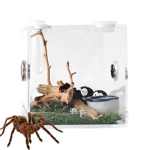 Klare Insekten-Futterbox – Acryl-Reptilien-Habitat-Hülle, transparente Insekten-Futterboxen | Tragbares Reptiliengehege, Zuchtbehälter mit Belüftungsloch aus Metall, Zuchtboxen für kriechende Haustier von Janurium