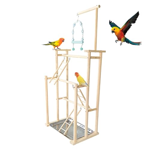 Lovebird Ständer – 4 Ebenen großer Papageien-Spielplatz, Vogel-Sitzstange aus Holz, Papageien-Laufgitter-Leiter, langlebige Nymphensittiche, Holz-Sitzstange, Fitnessstudio für Wellensittiche, von Janurium