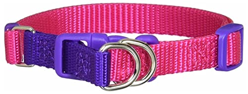 Japan Premium Pet 40 Shades of The Rainbow Series, Pinkes Hundehalsband mit Doppelbefestigung, Robust, Wetterfest, Für Hunde bis 30 kg, Größe L (44-70 cm Halsumfang) von Japan Premium Pet