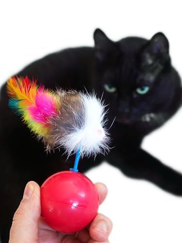 Japan Premium Pet, Katzenspielzeug für Katzen Aller Rassen, Roly-Poly-Maus für Katzen von Japan Premium Pet