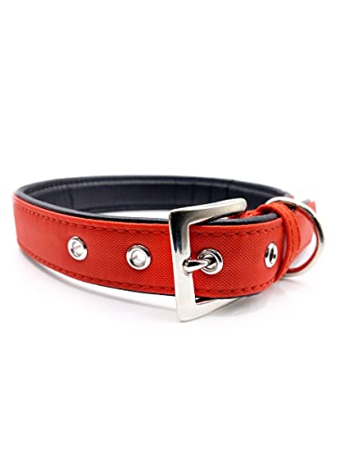 Japan Premium Pet Nylonhalsband DAISKI für Hunde, rot, Größe L von Japan Premium Pet