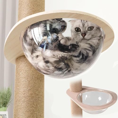 Glaskuppelnest für Katzen-Sitzstange, 30 cm, Katzen-Wandmöbel, Wandregale, transparent, Katzenbett für Indoor-Katzen von Japard