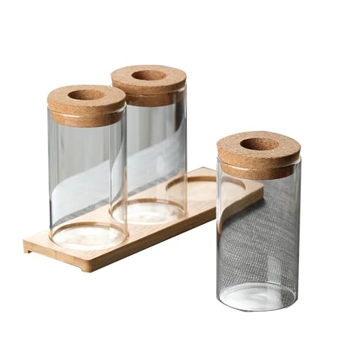 Jarsense Hydrokultur-Pflanzen-Glasbehälter-Set in 3/für Wasserpflanzen oder Blumen/Mikro-Landschaft, ökologische Flasche, Pflanzen-Glasbehälter mit Holzbodenständer von Jarsense