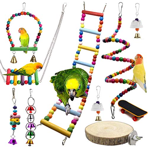 10 Stück Vogel-Spielzeug für Vogel-Käfig Kauen Mahlen - Hängende Schaukel Glöckchen Hängematte Sitzstangen Papageien-Spielzeug zum für Papagei, Sittiche, Kleiner Ara, Wellensittiche #1 von JasCherry