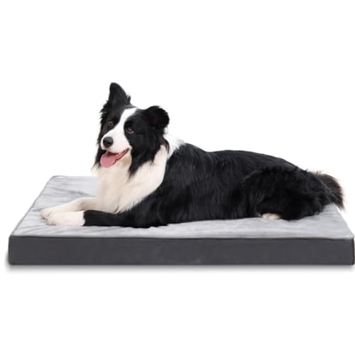 Jaspuriea Orthopädisches Hundebett Grosse Hunde mit Wasserdichtem Abnehmbarem Bezug, Rutschfestem Waschbar Hundebetten, Deluxe-Flanell Bequeme Hundekissen, Grau, 90x60x9 cm von Jaspuriea