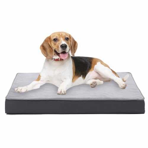 Jaspuriea Orthopädisches Hundebett Mittelgroße Hunde mit Wasserdichtem Abnehmbarem Bezug, Rutschfestem Waschbar Hundebetten, Deluxe-Flanell Bequeme Hundekissen, Grau, 75x50x9 cm von Jaspuriea