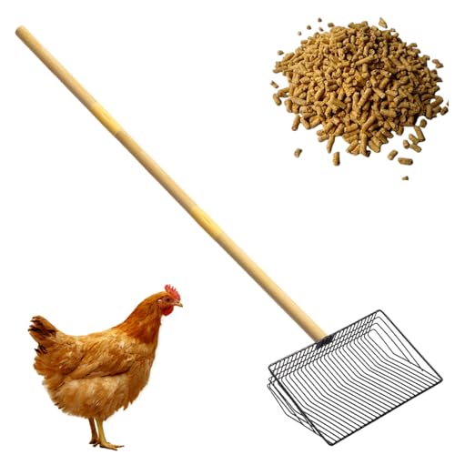 Jcasbdn Huhn Poop Scooper Abnehmbarer Schaufel Schaufel großer Metallhuhn-Stall-Reinigungswerkzeug Holzgriff Hochleistungskotschaufel für Hühnerkoop-Zubehör von Jcasbdn