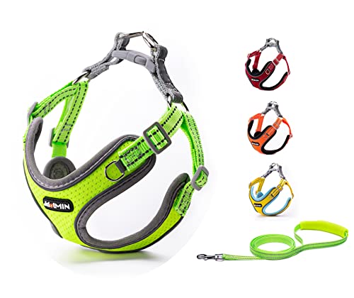 JdotMIN Harness for Dogs and Cats, No-Pull Dog Cat Harnesses Small Medium, Adjustable Reflective, Step in Pet Harness, Easy Walk Soft Breathable Padded Dog Harness Leash Set (M, Green) von JdotMIN