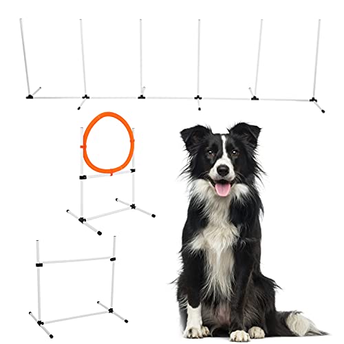 Jectse Agility-Trainingsausrüstung für Hunde, Verstellbarer Stangensprung-Hürden-Reifen-Stange-Hindernisparcours, Leicht, Langlebig, Verbessert die Beweglichkeit des Haustiers, Gras von Jectse