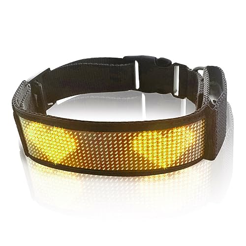 Programmierbares LED-Halsband, Wiederaufladbar, Sicherheitshalsband für Hunde mit Blinkender Beleuchtung, (Gelb) von Jectse