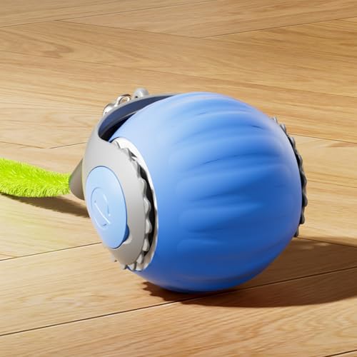 Jeeeun Interactive Rolling Dog Ball, Active Rolling Ball with Tail for Dogs, Interactive Cat Ball, Interactive Dog Soccer Ball (Blue) von Jeeeun