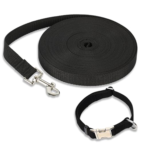 Hundehalsband, 1 Stück, schwarzes Hundehalsband und schwarzes Zugseil, atmungsaktiv, verstellbares Haustierhalsband, Haustierhalsband mit Sicherheits-Metallschnalle, bequemes Hundehalsband für kleine, von JeiibrZui