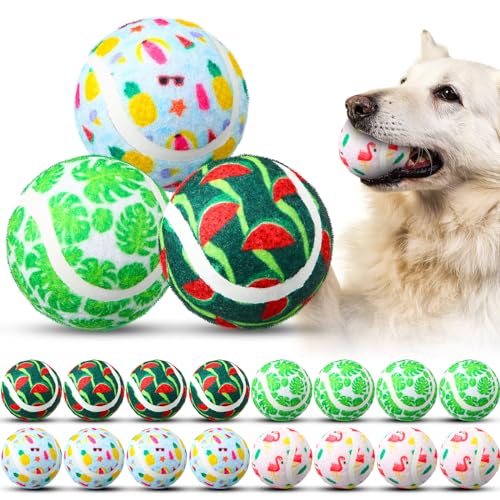 JellyArch 24 Stück Hundespielzeug, Bälle, 6,3 cm, Tennisbälle für Hunde, Haustier, interaktives Spielzeug für kleine, mittelgroße und große Hunde, Zahnen, Kau-Trainingsspielzeug (Sommerdruck) von JellyArch