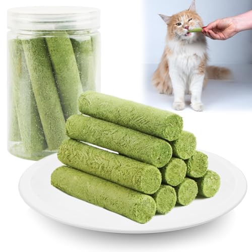 Jemmytu Katzengras Sticks, 10 stück Beißstäbe Aus Katzengras für Hauskatzen, Katzengras Snacks in Dosen, Katzengras Beissstäbchen, zur Verbesserung der Katzenverdauung von Jemmytu