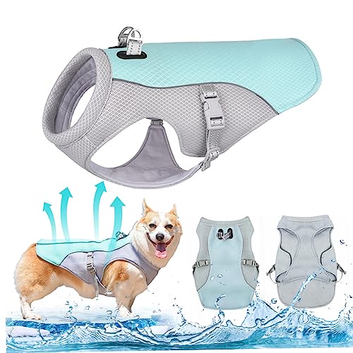 Hundekühlungsweste, reflektierender Hundekühlmantel, atmungsaktives Netz Verstellbarer, schnell kühle Jacke, sonnensicheres Hundegabel für Haustierpuppen, XL von Jeorywoet