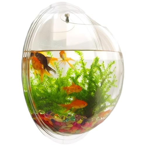 Kleines Aquarium 9,1 Zoll Durchmesser klarer Acrylwandmortenfischtanz von Jeorywoet