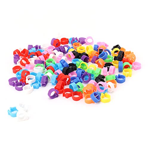 200PCS 8mm Pigeons Foot Colorful Pigeons Leg Band Identification s No Words Colorful Pigeon Identification Bands von Jerliflyer