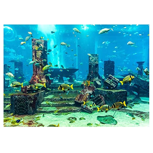 Jerliflyer PVC Korallen Aquarium Hintergrund Poster Unterwasser Aquarium Wanddekoration Aufkleber Unterwasser Aquarium Dekoration Poster (61 * 30cm) von Jerliflyer