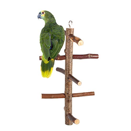 Sitzstangen aus Holz Für Vögel, Vogelständer Mit Trockenen Ästen, Sitzstangen Für Papageienvögel, Käfigständer, Spielzeug Zum Aufhängen von Hölzernen Aktivitätszweigen, Treppensteigen von Jerliflyer