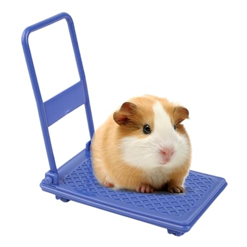 Hamster Cage Accessories | Small Animal Toys | Hamster Cart Toy | Hamster Enrichment Toys | Interactive Hamster Toys | Hamster Enrichment Toy Small Cart Chinchilla Bed Pet Toy Hamster Cage Accessories von Jeruytgh