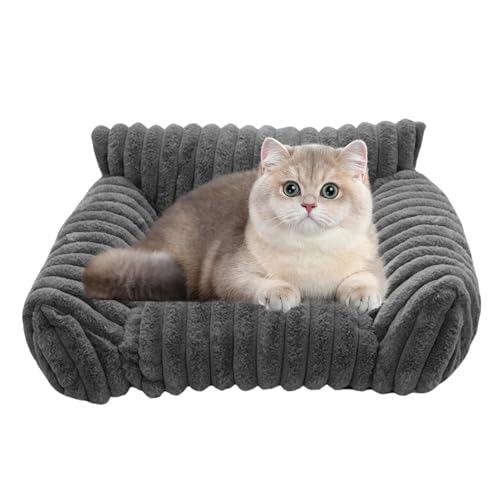 Jeruytgh Plüschkatzenbett, weiches Katzensofa, Haustierbett in Innenräumen, leicht zu warten, praktisches Design, 60x50x17 cm, für Heimatauto -Apartment täglich Camping im Freien im Freien Jeruytgh Plüschkatzenbett, weiches Katzensofa, Haustierbett in Innenräumen, leicht zu warten, praktisches Design, 60x50x17 cm, für Heimatauto -Apartment täglich Camping im Freien im Freien von Jeruytgh