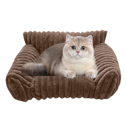Jeruytgh Plüschkatzenbett, weiches Katzensofa, Haustierbett in Innenräumen, leicht zu warten, praktisches Design, 60x50x17 cm, für Heimatauto -Apartment täglich Camping im Freien im Freien Jeruytgh Plüschkatzenbett, weiches Katzensofa, Haustierbett in Innenräumen, leicht zu warten, praktisches Design, 60x50x17 cm, für Heimatauto -Apartment täglich Camping im Freien im Freien von Jeruytgh