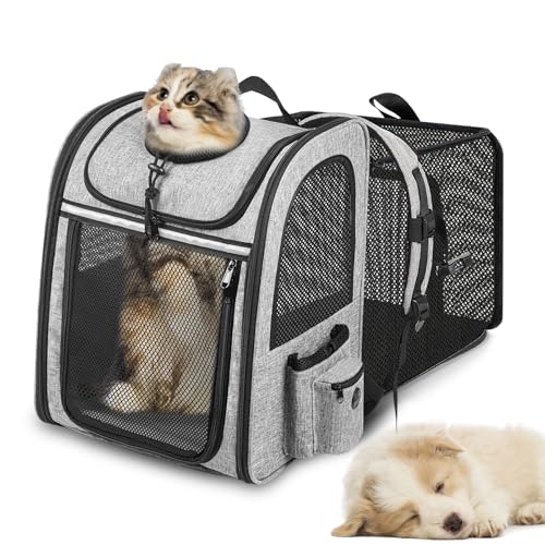 Haustier-Tragerucksack, Hundetragerucksack, erweiterbar mit atmungsaktivem Mesh für kleine Hunde Katzen Welpen, Haustier Rucksack Tasche für Wandern Reisen Camping Outdoor von Jerylota