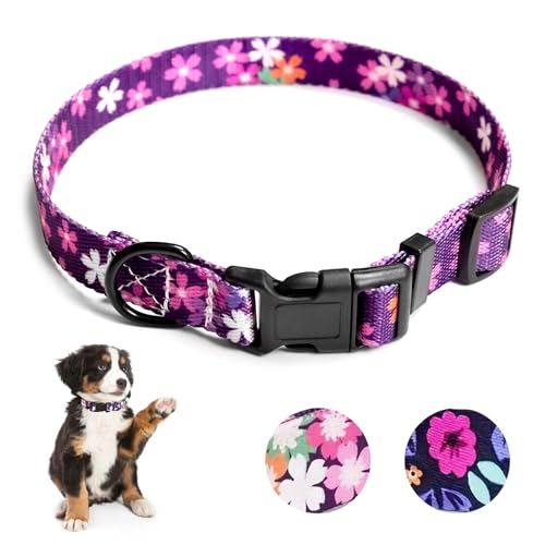 Jestrem Hundehalsband, niedlich, verstellbar, weich und bequem, mit aufgedrucktem Muster, Haustierhalsband für kleine, mittelgroße und große Hunde, Violett von Jestrem