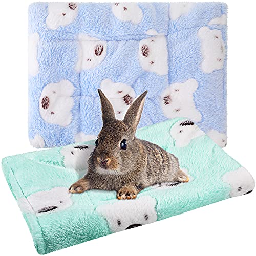 2 Stück Meerschweinchen Hamster Warme Matten Bett Hamster Schlafunterlage Eichhörnchen Igel Weiches Kissen Kaninchen Chinchilla Bett Matte Hausnest (grün, blau) von Jetec