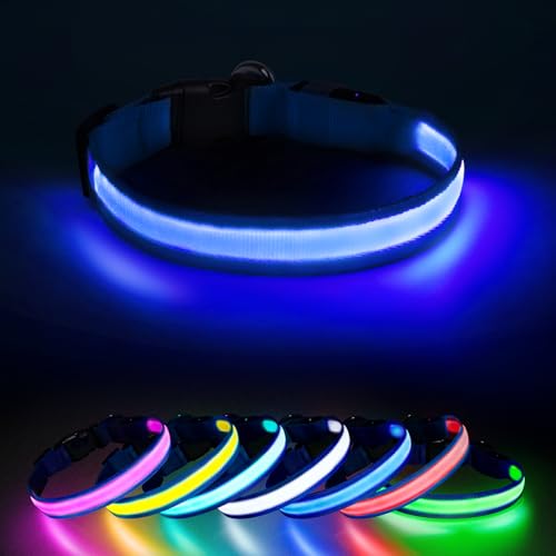 Jewyow Leuchtend Halsband, 7 in 1 Farben Leuchthalsband Hund, Wiederaufladbares USB-C LED Halsband mit Wasserdicht für Kleine,Mittlere,Große Hunde-Blau-M Jewyow Leuchtend Halsband, 7 in 1 Farben Leuchthalsband Hund, Wiederaufladbares USB-C LED Halsband mit Wasserdicht für Kleine,Mittlere,Große Hunde-Blau-M von Jewyow