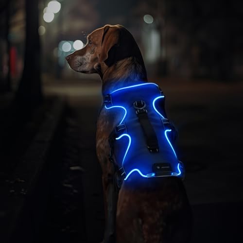 Jewyow Hundegeschirr Leuchtend, Wiederaufladbare LED Hundegeschirr, Led Geschirr für Hunde mit Weicher Griff, 3 Einstellbare Modus, Wasserdicht für Mittelgroße, Große Hund, Blau-L von Jewyow