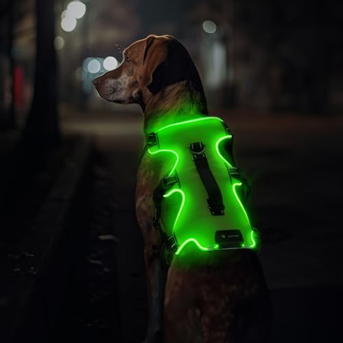 Jewyow Hundegeschirr Leuchtend, Wiederaufladbare LED Hundegeschirr, Led Geschirr für Hunde mit Weicher Griff, 3 Einstellbare Modus, Wasserdicht für Mittelgroße, Große Hund, Green-L von Jewyow