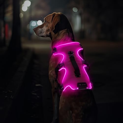 Jewyow Hundegeschirr Leuchtend, Wiederaufladbare LED Hundegeschirr, Led Geschirr für Hunde mit Weicher Griff, 3 Einstellbare Modus, Wasserdicht für Mittelgroße, Große Hund,Rosa-L von Jewyow