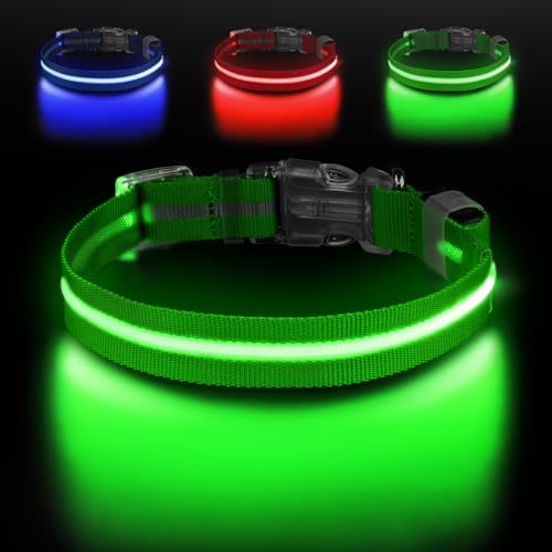 Jewyow Leuchtend Halsband, Wiederaufladbares LED Hundehalsband für Kleine, Mittelgroße & Große Hunde, Verstellbares Hundehalsband Licht für Dunkelheit mit Wasserdicht, 3 Modi,Green-S von Jewyow