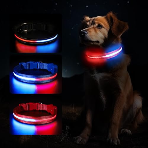 Jewyow Leuchthalsband Hund, USB Leuchthalsband Hund Aufladbar, 1600ft Halsband Leuchtend Hund aus Nylon mit Einstellbar Funktion, 2 Beleutungsmodi, IPX7 Wasserdicht Geeignet für Groß Hunde-Rot L von Jewyow