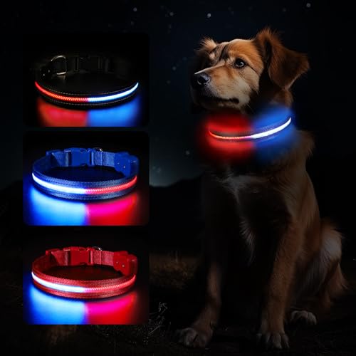 Jewyow Leuchthalsband Hund, USB Leuchthalsband Hund Aufladbar, 1600ft Halsband Leuchtend Hund aus Nylon mit Einstellbar Funktion, 2 Beleutungsmodi, IPX7 Wasserdicht Geeignet für Groß Hunde-Schwarz L von Jewyow