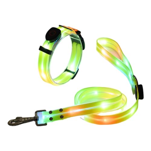 LED-Hundehalsbandseil, Leuchtende Hundehalsbänder, Über USB Wiederaufladbar, Wasserdicht, Gut Sichtbar, Reflektierendes Hundeseil, Beleuchtetes, Verstellbares, Leuchtendes LED-Haustierhalsband Für Näc von Jextou