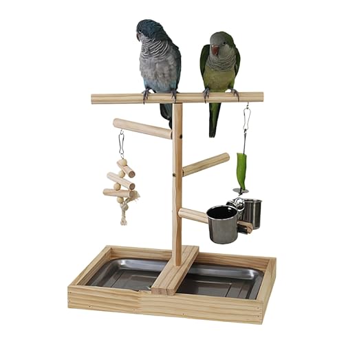 Parrot Stand – Vogelspielzeug mit Tablett und Tassen | Bird Play Gym Laufstall | Vogelständer mit Futternäpfen | Sitzstangenständer für Nymphensittiche, Sittiche, Vogelkäfigzubehör von Jextou