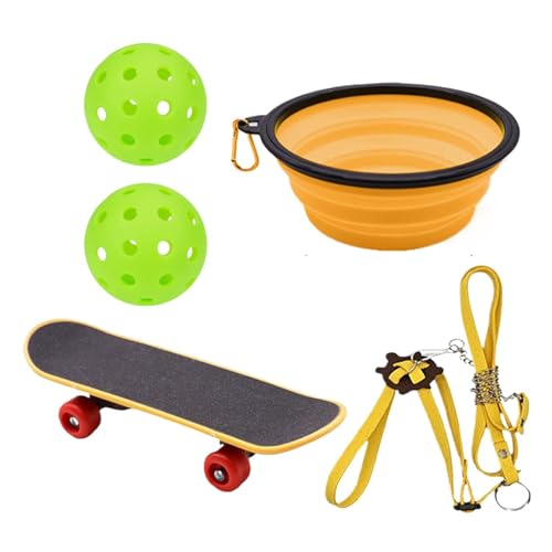 Schildkröten-Leckerli-Ball – zusammenklappbares Schüssel-Set für Schildkröten | Turtle Feeder Ball Training Skateboard Schildkrötenspielzeug | Futterbälle Schildkrötenspielzeug, Haustierspielzeug Schi von Jextou