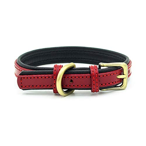 Jiacheng29_ Hundehalsband, verstellbar, Kunstleder, Sicherheitsgürtel, Schnalle (Rot, XS) von Jiacheng29_