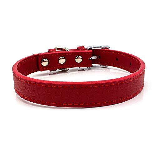 Jiacheng29_ Hundehalsband, verstellbar, aus Mikrofaser, mit Schnalle, weich, Rot von Jiacheng29_