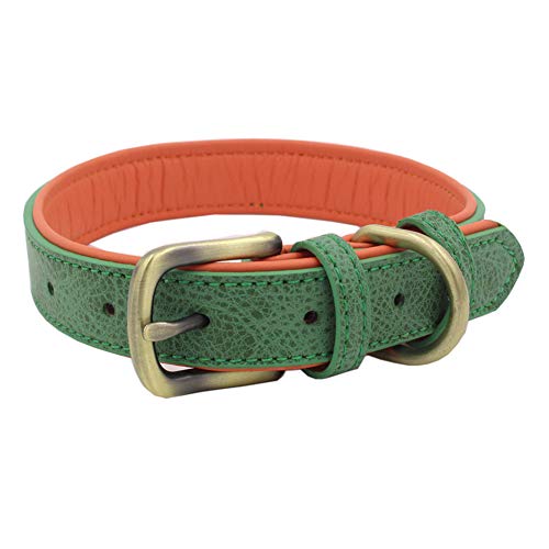 Jiacheng29_ Hundehalsband, verstellbar, weiche Schnalle, für Outdoor-Training, sicheres Halsband, Grün, Größe M von Jiacheng29_