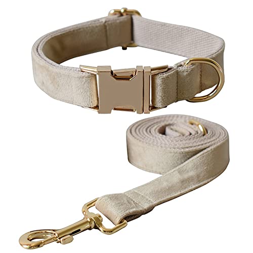 Hundehalsband und Leine, Samt-Hundehalsband und Leine mit Schnellverschluss-Schnalle, verstellbare Hundehalsbänder für kleine, Training (Halsband: 20.1–29 cm, Leinenlänge: 1.2 m) von JiangYanus