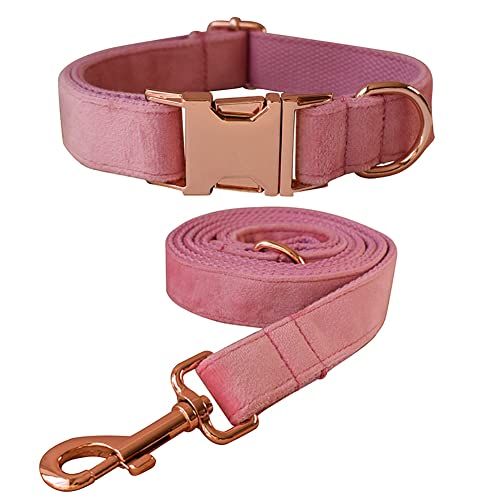 Hundehalsband und Leine, Samt-Hundehalsband und Leine mit Schnellverschluss-Schnalle, verstellbare Hundehalsbänder für kleine, Training (Halsband: 20.1–29 cm, Leinenlänge: 1.2 m) von JiangYanus