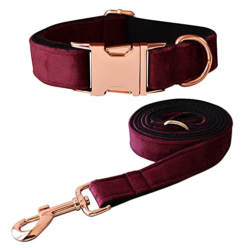 Hundehalsband und Leine, Samt-Hundehalsband und Leine mit Schnellverschluss-Schnalle, verstellbare Hundehalsbänder für kleine, Training (Halsband: 20.1–29 cm, Leinenlänge: 1.2 m) von JiangYanus