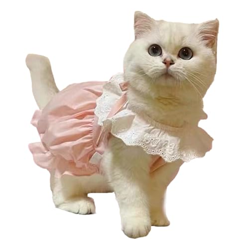 Hundekleid, Bequemes, Genähtes Katzen-Outfit-Kleid, süß für den Frühling und Sommer für Katzen (M) von Jiawu