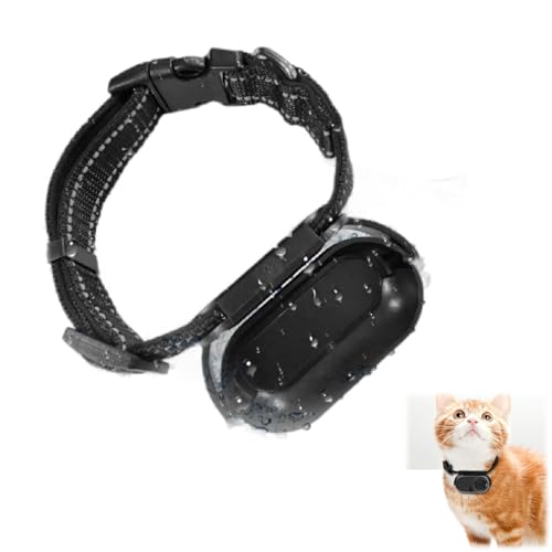 Jiawu Katzenhalsband-Kamera, HD 1080P Haustier-Kamerahalsband mit Videoaufzeichnung, 170° Weitwinkel-Hunde-Tracker-Halsband, M ini-Körperkamera für Katze, Hund, Draußen, Drinnen von Jiawu