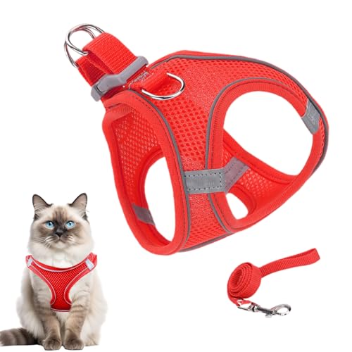 Jiimhte Katzengeschirr - Katzengeschirr mit Leine,Mittel Groß Geschirr für Wandern Camping Training Outdoor Jiimhte Katzengeschirr - Katzengeschirr mit Leine,Mittel Groß Geschirr für Wandern Camping Training Outdoor von Jiimhte